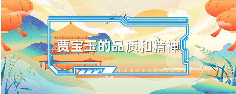 贾宝玉的品质和精神
