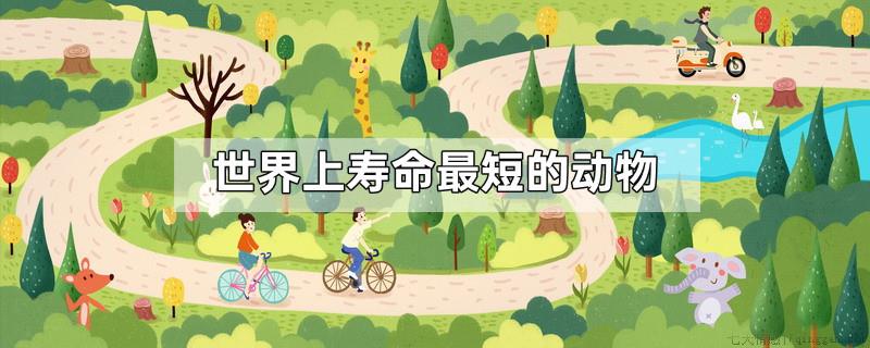 世界上寿命最短的动物