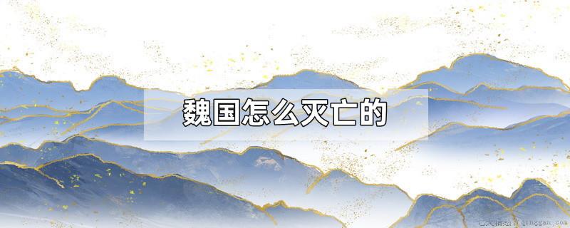 魏国怎么灭亡的