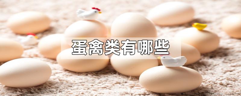 蛋禽类有哪些