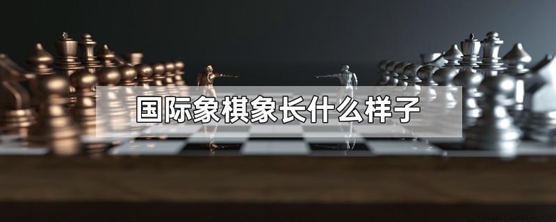 国际象棋象长什么样子
