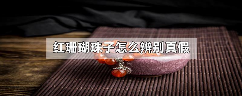 红珊瑚珠子怎么辨别真假