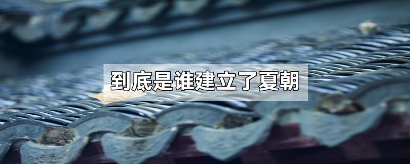 到底是谁建立了夏朝