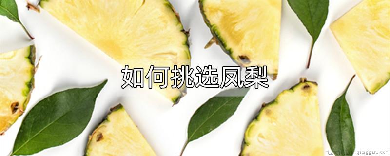 如何挑选凤梨