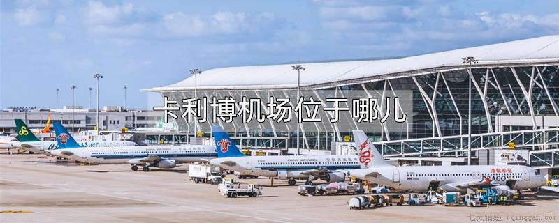卡利博机场位于哪儿