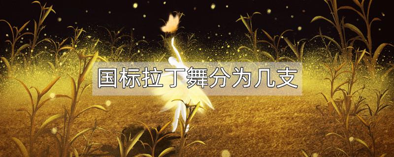 国标拉丁舞分为几支
