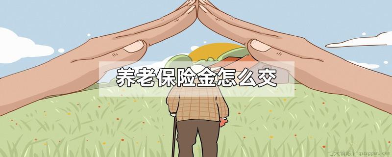养老保险金怎么交