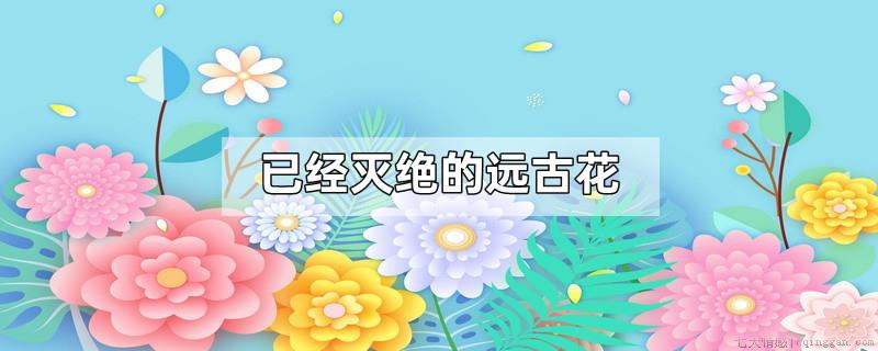 已经灭绝的远古花