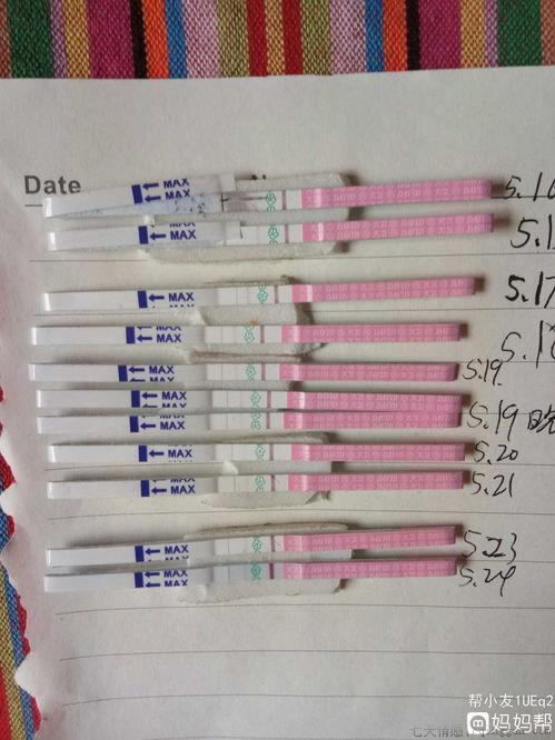 hiv试纸怎么用