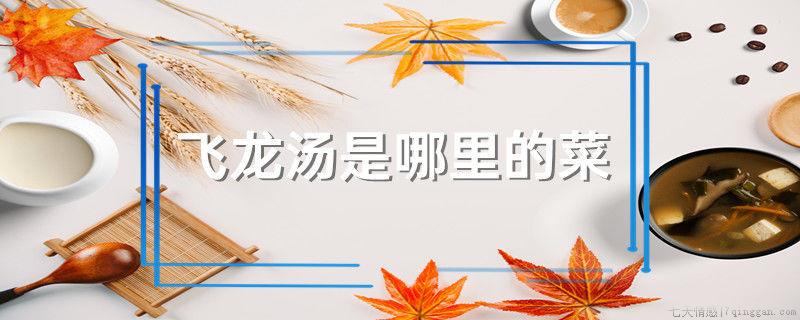 飞龙汤是哪里的菜