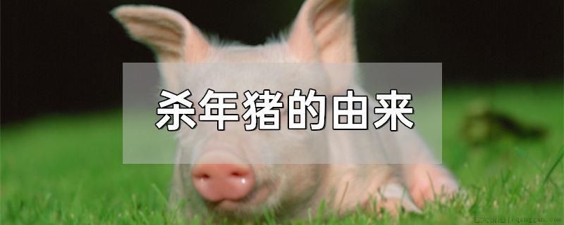 杀年猪的由来