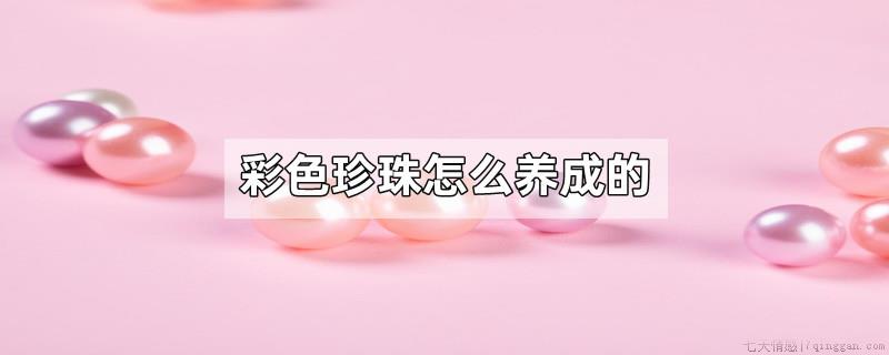 彩色珍珠怎么养成的