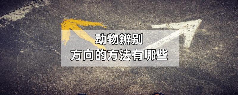 动物辨别方向的方法有哪些