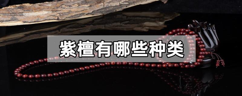 紫檀有哪些种类