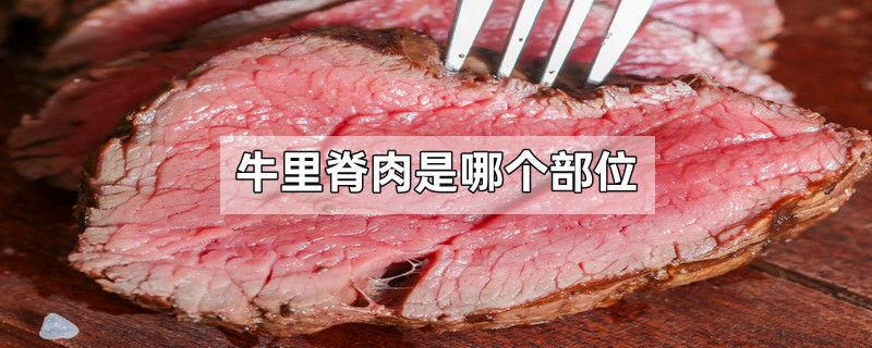 牛里脊肉是哪个部位