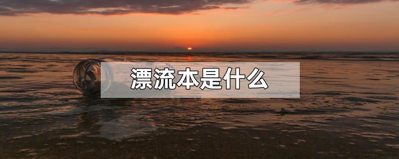 漂流本是什么