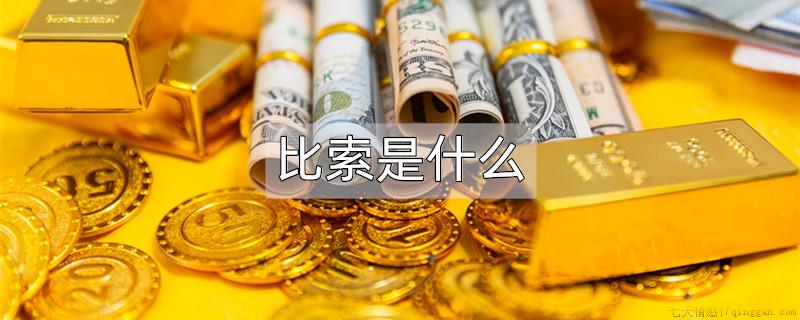 比索是什么