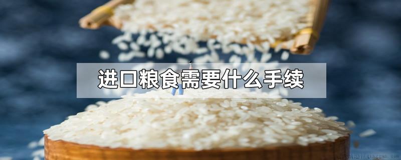 进口粮食需要什么手续