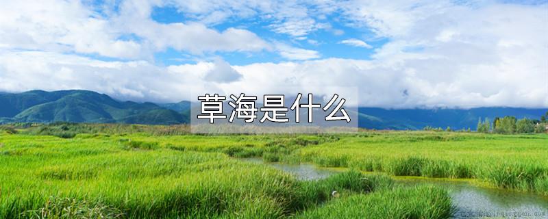 草海是什么