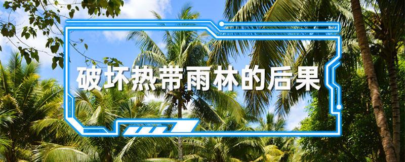 破坏热带雨林的后果