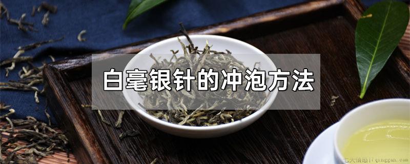 白毫银针的冲泡方法