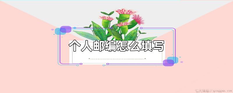 个人邮编怎么填写