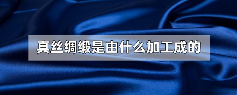 真丝绸缎是由什么加工成的
