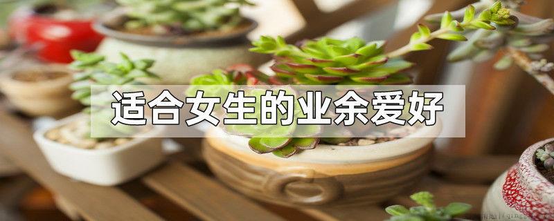 适合女生的业余爱好