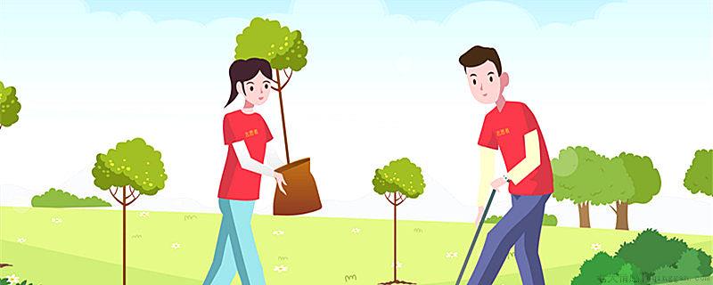 大学哪些项目加学分