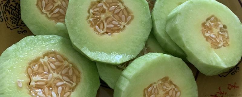 露地甜瓜几月份播种