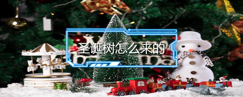 圣诞树怎么来的