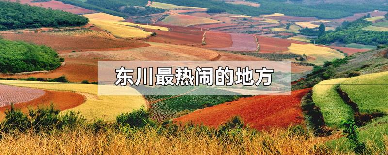 东川最热闹的地方