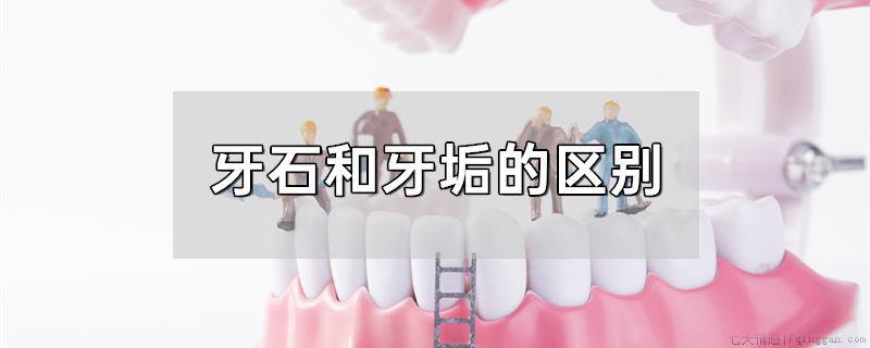 牙石和牙垢的区别