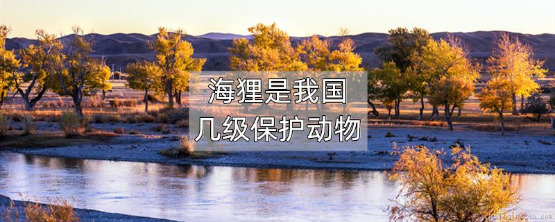 海狸是我国几级保护动物