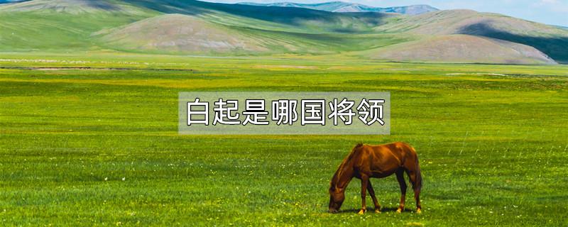 白起是哪国将领