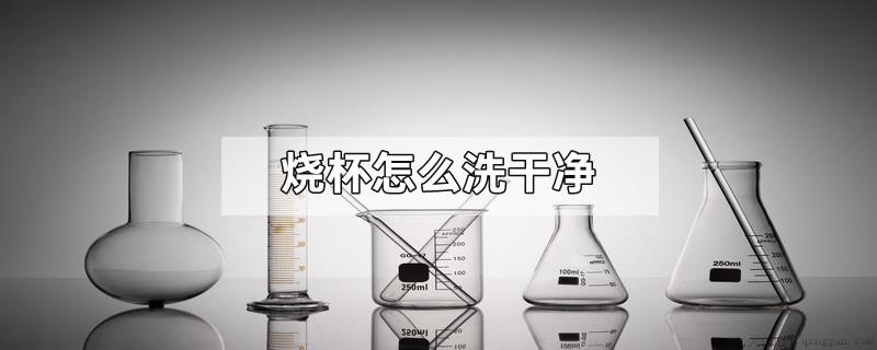 烧杯怎么洗干净