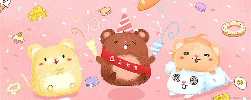 仓鼠能不能吃渣粮