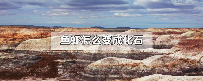 鱼虾怎么变成化石
