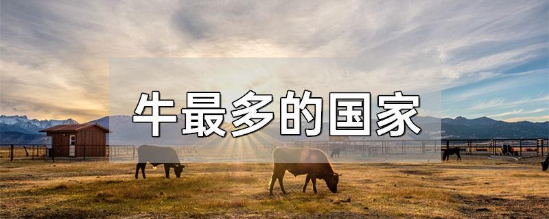 牛最多的国家