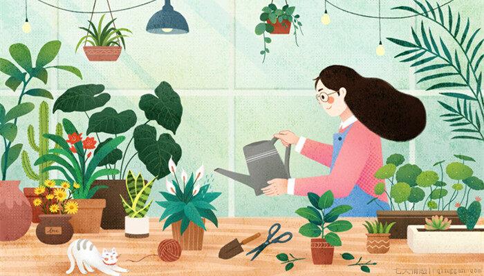 植物妈妈怎么传播种子的