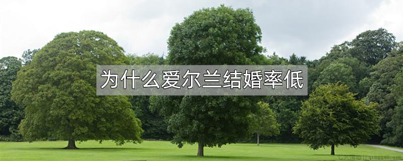 为什么爱尔兰结婚率低