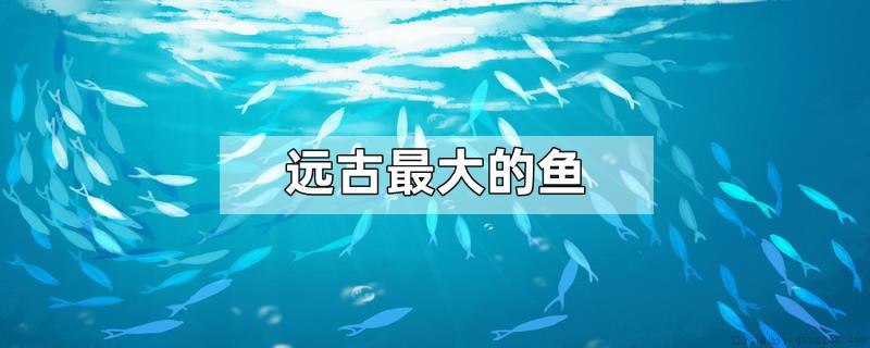 远古最大的鱼