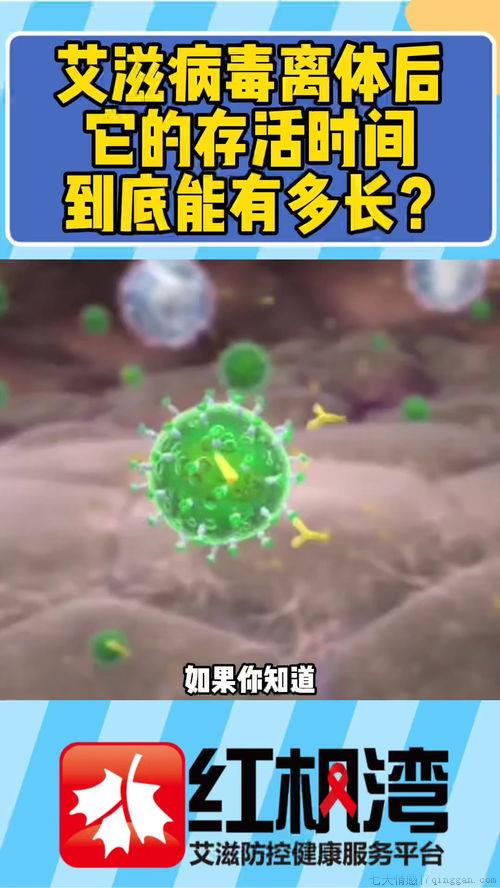 HIV病毒存活时间