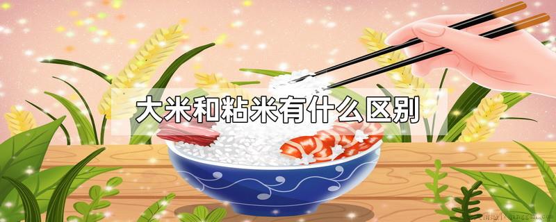 大米和粘米有什么区别