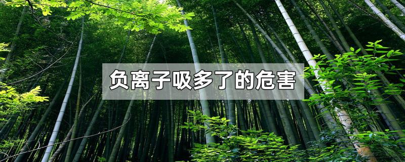 负离子吸多了的危害