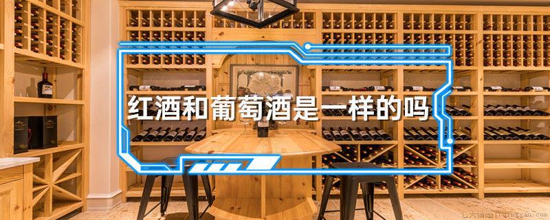 红酒和葡萄酒是一样的吗