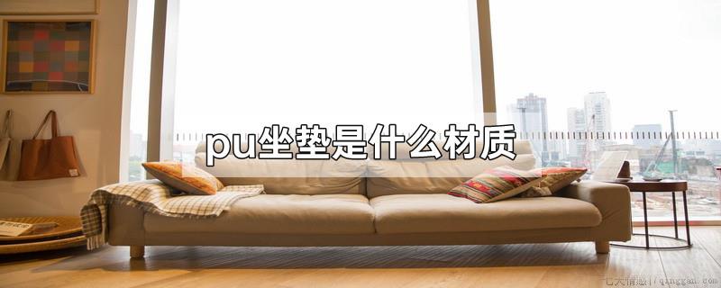 pu坐垫是什么材质