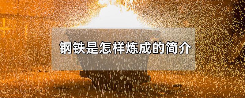 钢铁是怎样炼成的简介