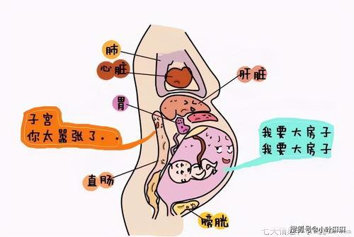 怀孕便秘严重怎么办