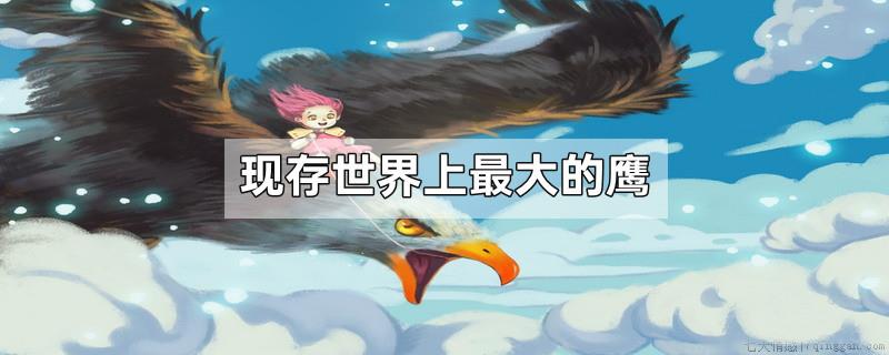 现存世界上最大的鹰